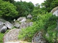 2006 Helgoat (2)